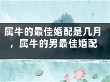 属牛的最佳婚配是几月，属牛的男最佳婚配