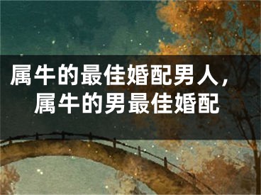 属牛的最佳婚配男人,属牛的男最佳婚配