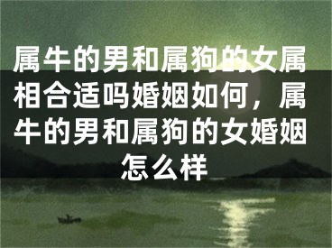 属牛的男和属狗的女属相合适吗婚姻如何，属牛的男和属狗的女婚姻怎么样