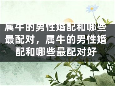 属牛的男性婚配和哪些最配对，属牛的男性婚配和哪些最配对好