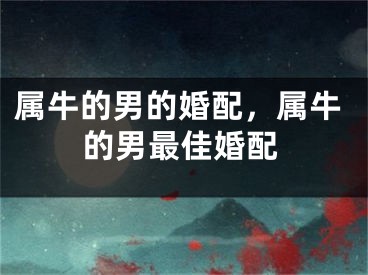 属牛的男的婚配，属牛的男最佳婚配
