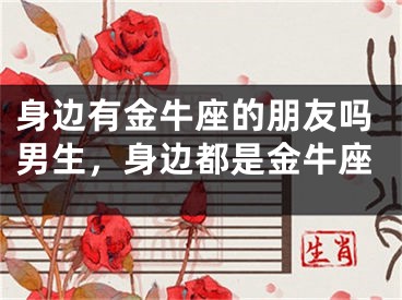 身边有金牛座的朋友吗男生，身边都是金牛座