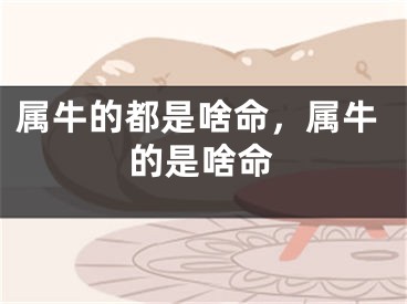 属牛的都是啥命，属牛的是啥命