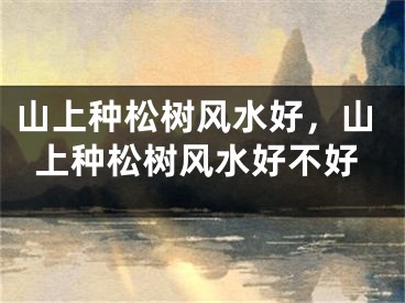 山上种松树风水好，山上种松树风水好不好