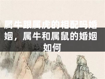 属牛跟属虎的相配吗婚姻，属牛和属鼠的婚姻如何