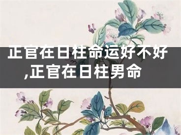 正官在日柱命运好不好,正官在日柱男命