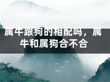 属牛跟狗的相配吗，属牛和属狗合不合