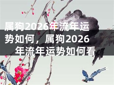 属狗2026年流年运势如何，属狗2026年流年运势如何看