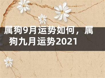 属狗9月运势如何，属狗九月运势2021