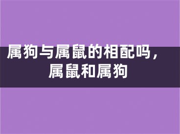 属狗与属鼠的相配吗，属鼠和属狗