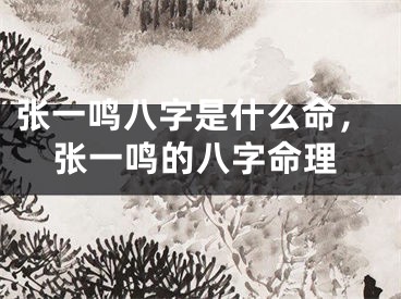 张一鸣八字是什么命，张一鸣的八字命理