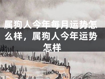 属狗人今年每月运势怎么样，属狗人今年运势怎样