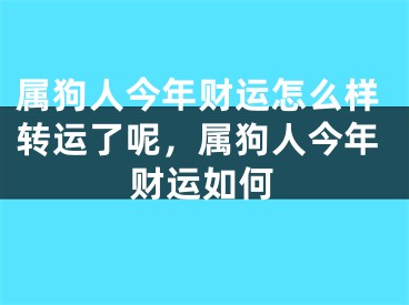 属狗人今年财运怎么样转运了呢，属狗人今年财运如何