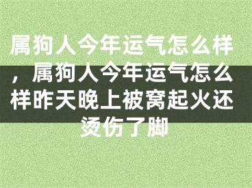 属狗人今年运气怎么样，属狗人今年运气怎么样昨天晚上被窝起火还烫伤了脚