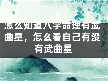怎么知道八字命理有武曲星，怎么看自己有没有武曲星