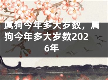 属狗今年多大岁数，属狗今年多大岁数2026年