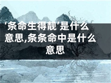 ‘条命生得靓’是什么意思,条条命中是什么意思