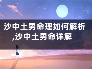 沙中土男命理如何解析,沙中土男命详解