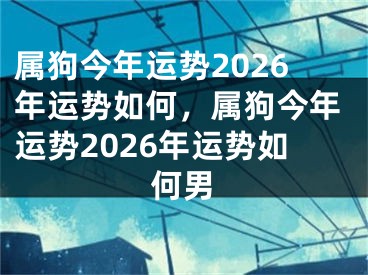 属狗今年运势2026年运势如何，属狗今年运势2026年运势如何男