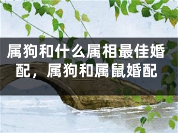 属狗和什么属相最佳婚配，属狗和属鼠婚配