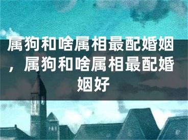 属狗和啥属相最配婚姻，属狗和啥属相最配婚姻好