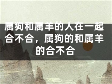 属狗和属羊的人在一起合不合，属狗的和属羊的合不合