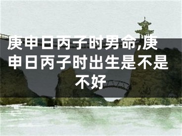 庚申日丙子时男命,庚申日丙子时出生是不是不好