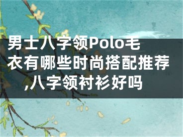 男士八字领Polo毛衣有哪些时尚搭配推荐,八字领衬衫好吗