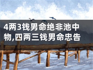 4两3钱男命绝非池中物,四两三钱男命忠告