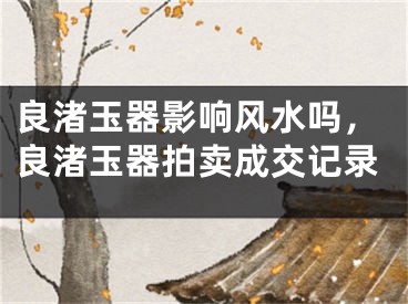良渚玉器影响风水吗，良渚玉器拍卖成交记录