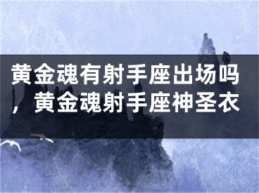 黄金魂有射手座出场吗，黄金魂射手座神圣衣