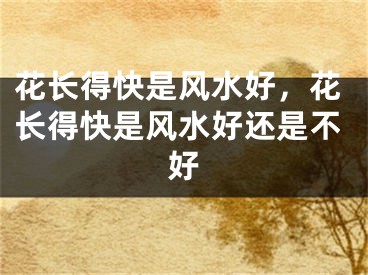 花长得快是风水好，花长得快是风水好还是不好