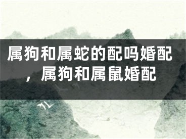 属狗和属蛇的配吗婚配，属狗和属鼠婚配