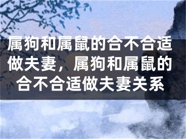 属狗和属鼠的合不合适做夫妻，属狗和属鼠的合不合适做夫妻关系