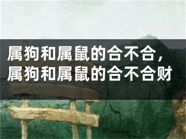 属狗和属鼠的合不合，属狗和属鼠的合不合财