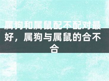 属狗和属鼠配不配对最好，属狗与属鼠的合不合