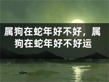属狗在蛇年好不好，属狗在蛇年好不好运