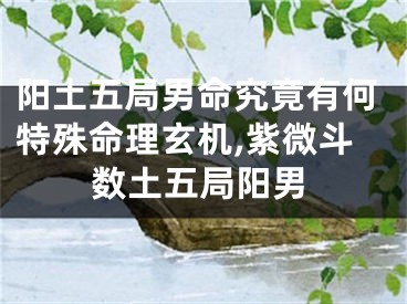 阳土五局男命究竟有何特殊命理玄机,紫微斗数土五局阳男