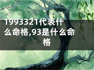1993321代表什么命格,93是什么命格