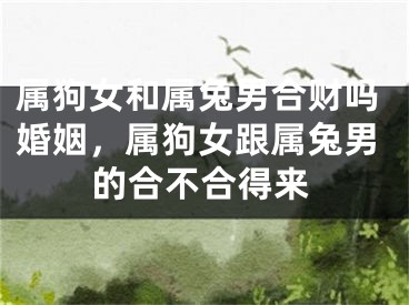 属狗女和属兔男合财吗婚姻，属狗女跟属兔男的合不合得来