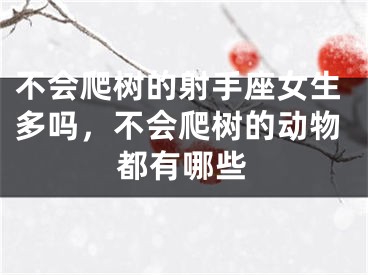 不会爬树的射手座女生多吗，不会爬树的动物都有哪些
