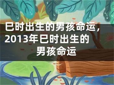 巳时出生的男孩命运，2013年巳时出生的男孩命运