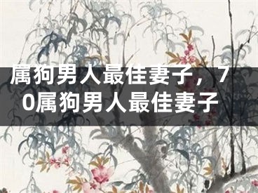 属狗男人最佳妻子,70属狗男人最佳妻子