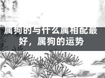 属狗的与什么属相配最好，属狗的运势