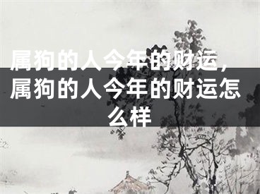 属狗的人今年的财运，属狗的人今年的财运怎么样