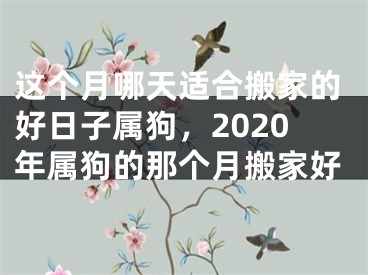 这个月哪天适合搬家的好日子属狗，2020年属狗的那个月搬家好