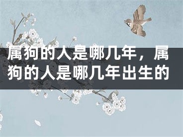 属狗的人是哪几年，属狗的人是哪几年出生的