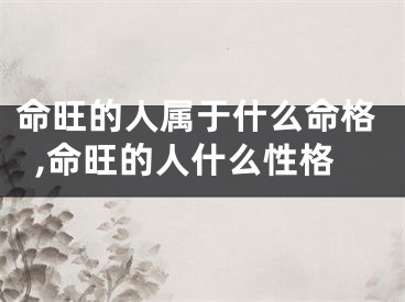 命旺的人属于什么命格,命旺的人什么性格