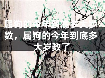 属狗的今年到底多大岁数，属狗的今年到底多大岁数了