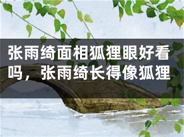 张雨绮面相狐狸眼好看吗，张雨绮长得像狐狸